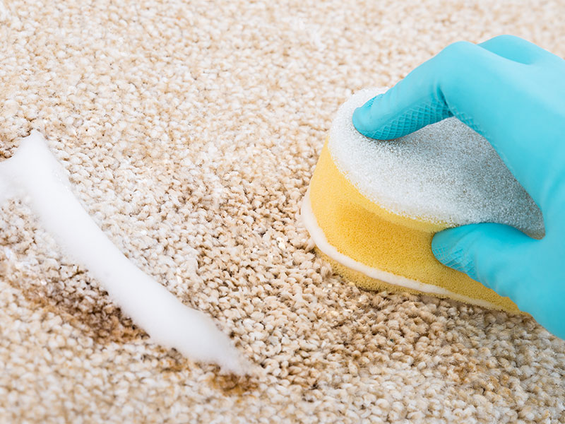 Чистка ковра мылом